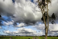 体育直播-奥地利乒乓球队惊险取胜,马龙再创高光时刻